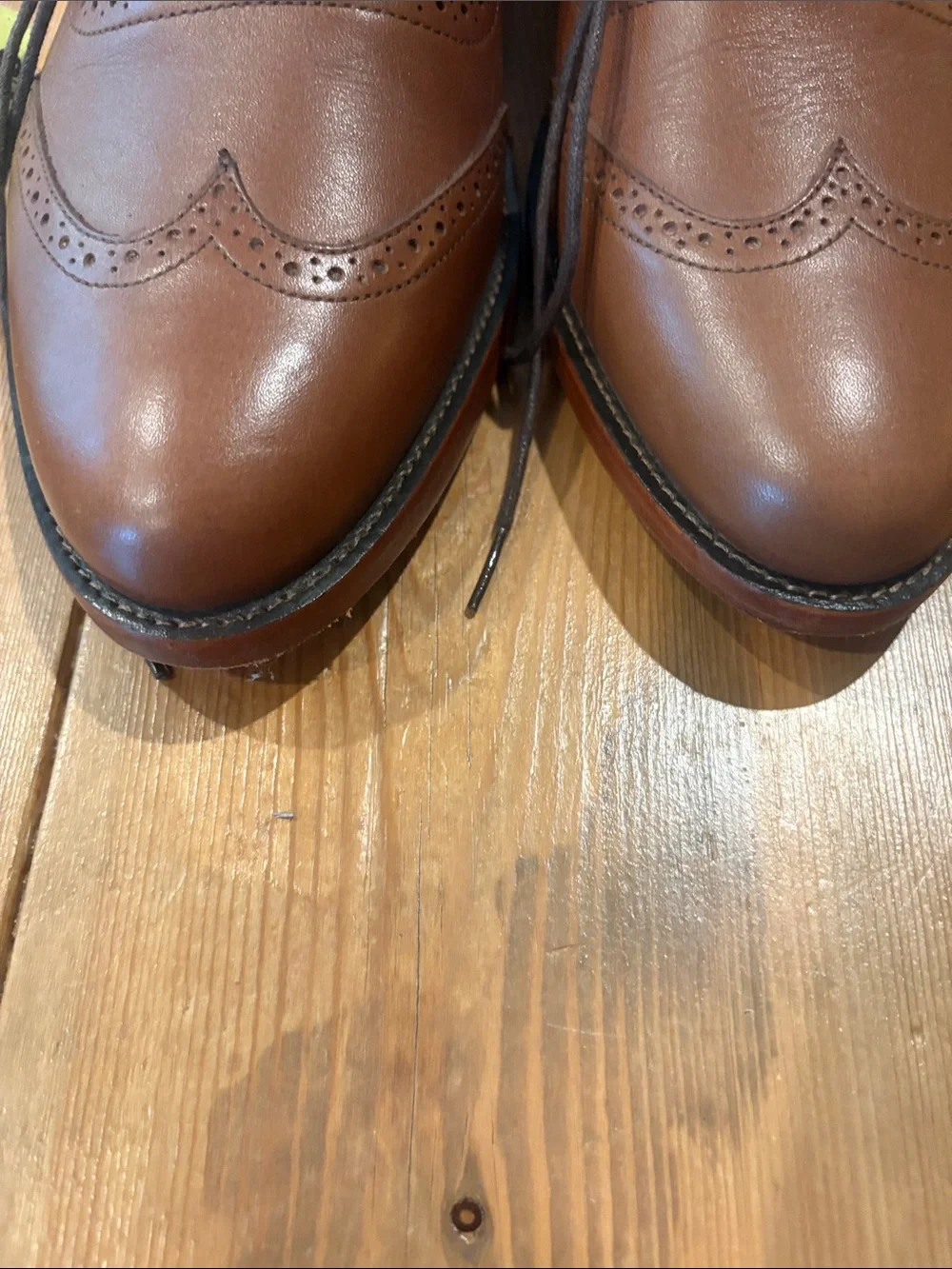 Nisolo Tan Leather Wingtip Oxfords